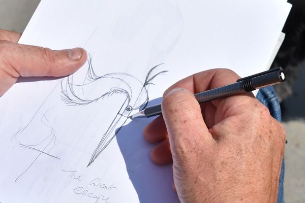 Black Hen Designs - The Difference is Clear